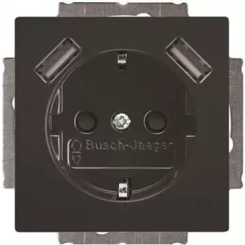 BUSCH-JAEGER BJ 20 EUCB2USB-81 Toma SCHUKO con 2 puertos USB, blanco alpino 2CKA002011A6267