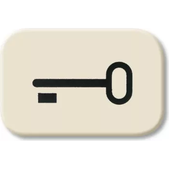 BUSCH-JAEGER pulsador símbolo Key tecla 2520 2525TR Duro 2000 SI 2525TR (1433-0-0440)