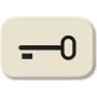 BUSCH-JAEGER pulsador símbolo Key tecla 2520 2525TR Duro 2000 SI 2525TR (1433-0-0440)