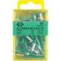 C.K Tools T3819A 508 Remaches ciegos 4,8 x 19 mm aluminio/acero cabeza de cúpula (50 uds.)