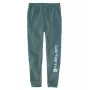 Pantalones de chándal Carhartt Graphic Jogger