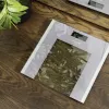 Báscula de baño Cecotec Surface Precision Healthy peso máximo 180 gris/transparente