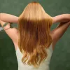 Cecotec Secador de pelo IoniCare Dry&Keratin Olive 1200 W Función iónica 1 nivel de temperatura Verde