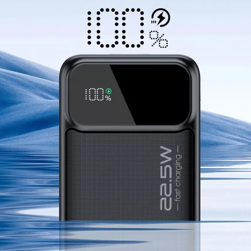 CHOETECH Power Bank 30000 mAh Negro