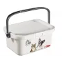 CURVER Multiboxx Caja de almacenamiento 3L con tapa y asa, diseño gatos y perros, Transparente con estampado, 26x18x11cm