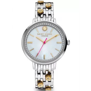 Daisy Dixon Reloj de mujer DD158SM 38mm Plata Acero inoxidable Mesh