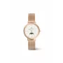 Reloj DANIEL WELLINGTON Petite Lumine 32mm plata con esfera de nácar y correa de malla plateada DW00100773