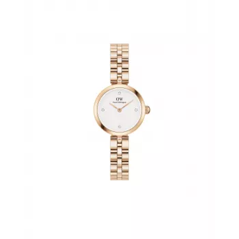 DANIEL WELLINGTON Petite Lumine Reloj de mujer 22mm Oro rosa Acero inoxidable Mesh DW00100717