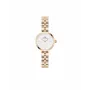 DANIEL WELLINGTON Petite Lumine Reloj de mujer 22mm Oro rosa Acero inoxidable Mesh DW00100717