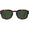 Gafas de sol DAVID BECKHAM DB-7098-S-86 habana verde 51mm