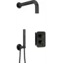 DEANTE Conjunto de ducha empotrado con mezclador BOX - con alcachofa de mano, negro mate