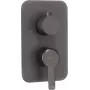 DEANTE Elemento exterior para grifo monomando empotrado BOX - Oro, montaje en pared, monomando, acabado PVD