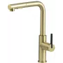 DEANTE Hiacynt Grifo de cocina con caño extraíble, cromado, monomando, altura 370 mm