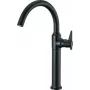 DEANTE Grifo de lavabo de caño alto negro mate Arnika Nero