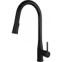 DEANTE grifo de cocina con caño extraíble, compuesto de granito negro, montaje en superficie de un orificio, latón, chorro pulverizador de 2 funciones