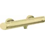 DEANTE Mezclador de ducha de pared Arnika negro mate