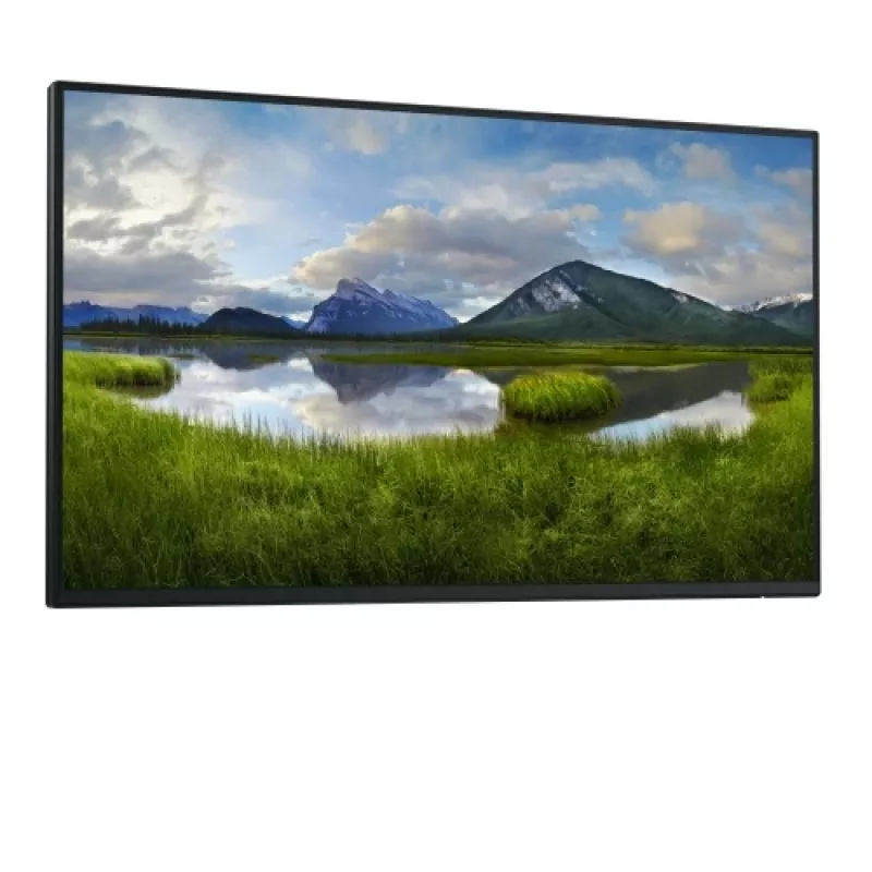 Monitor Dell Pro 24 Plus P2425HE 23,8