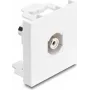Delock Easy 45 módulo RCA conector hembra a conector hembra blanco 91816