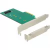 Delock Tarjeta PCI Express x4 a 1 x NVMe M.2 Key M interno 110 mm - Perfil bajo