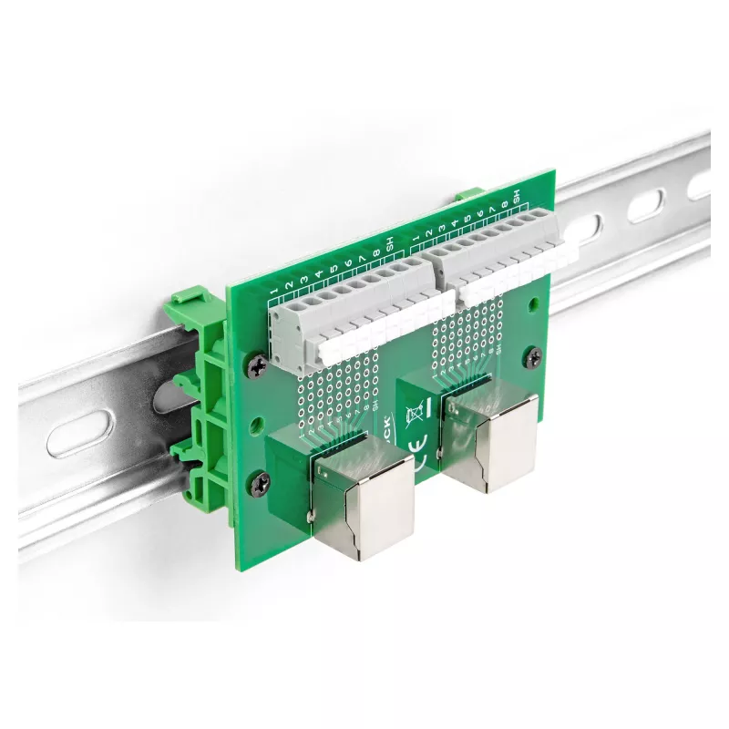 Delock RJ45 2 x conector hembra a 2 x bloque de terminales con pulsador para carril DIN (66994)