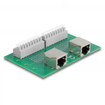 Delock RJ45 2 x conector hembra a 2 x bloque de terminales con pulsador para carril DIN (66994)
