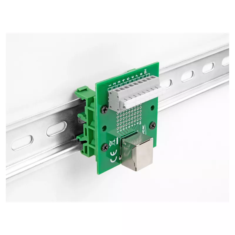 Delock conector hembra RJ45 a bloque de terminales con pulsador para carril DIN 66992