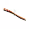 Delock tubo espiral 5 mm transparente, 100 uds.
