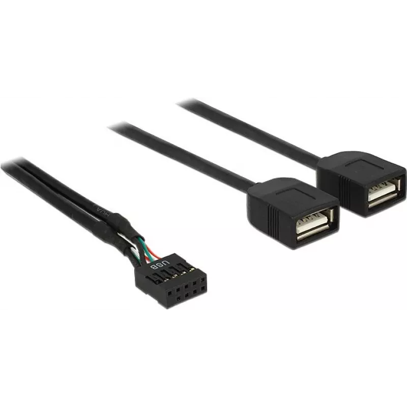 Delock cable adaptador USB 2.0 pin header a 2 x conector hembra Type-A 40 cm 83823