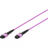 DIGITUS cable de conexión OM4 MPO a MPO de 12 fibras, 2m, método A, violeta DK-2566-02/4