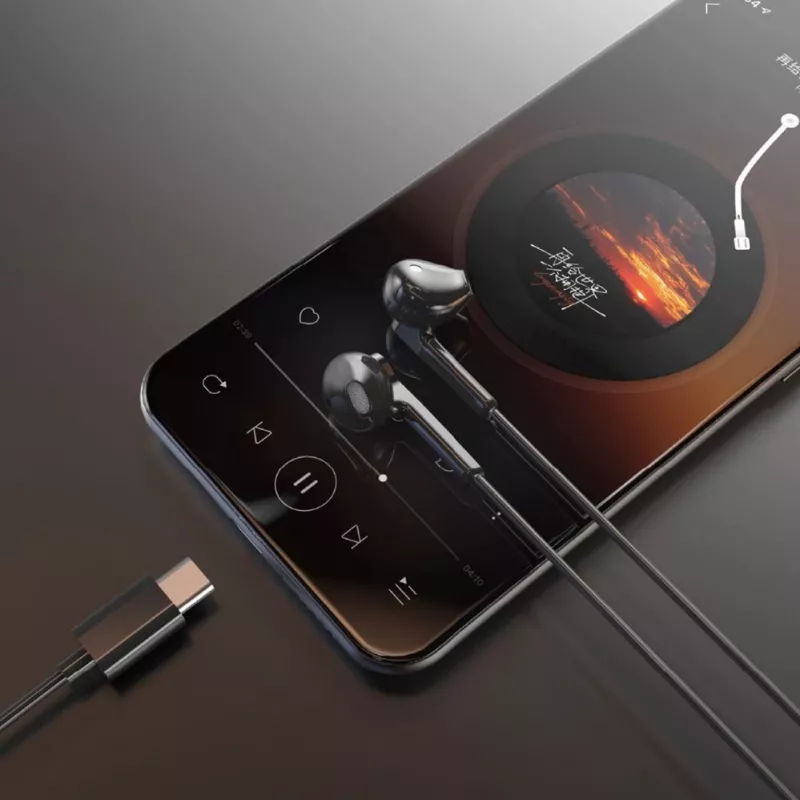 Dudao X3C Auriculares con cable USB-C in-ear 1,2 m - negros