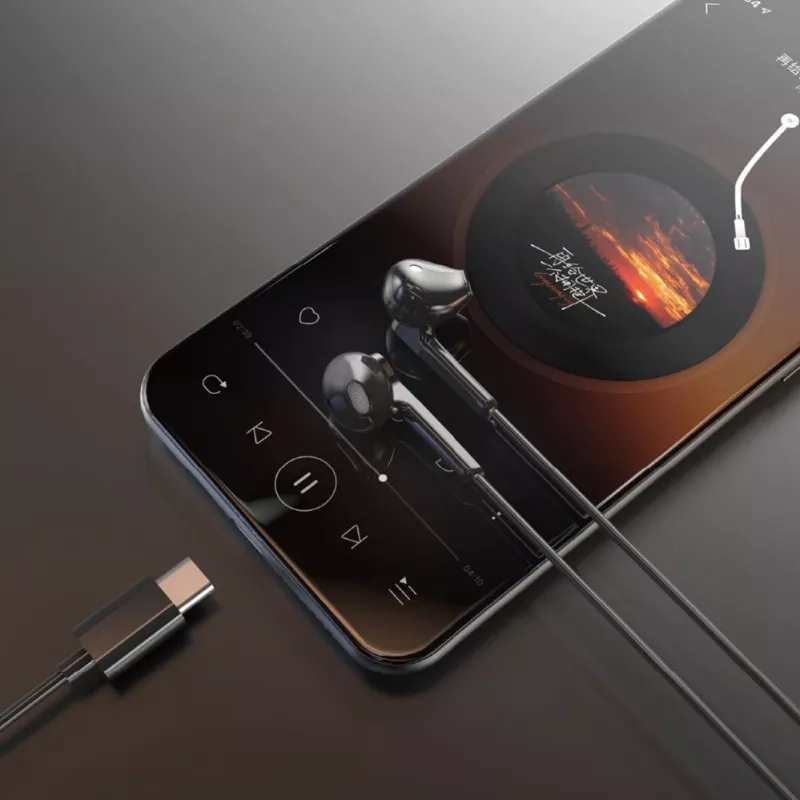 DUDAO X3C Auriculares USB-C con cable in-ear 1,2 m - negros