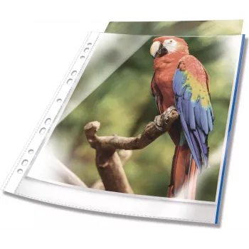 DURABLE fundas de documentos A4 con apertura superior, cristal transparente, con tira de encuadernación roja, 100 micras, pack de 25 265503