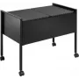 Carro de archivo colgante DURABLE ECONOMY DUO 100 A4 con capacidad para 100 archivos, dos filas, estructura de acero, 4 ruedas giratorias, negro 308201
