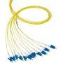 EFB Elektronik fibra pigtail LC 62.5/125 OM1 azul 2m