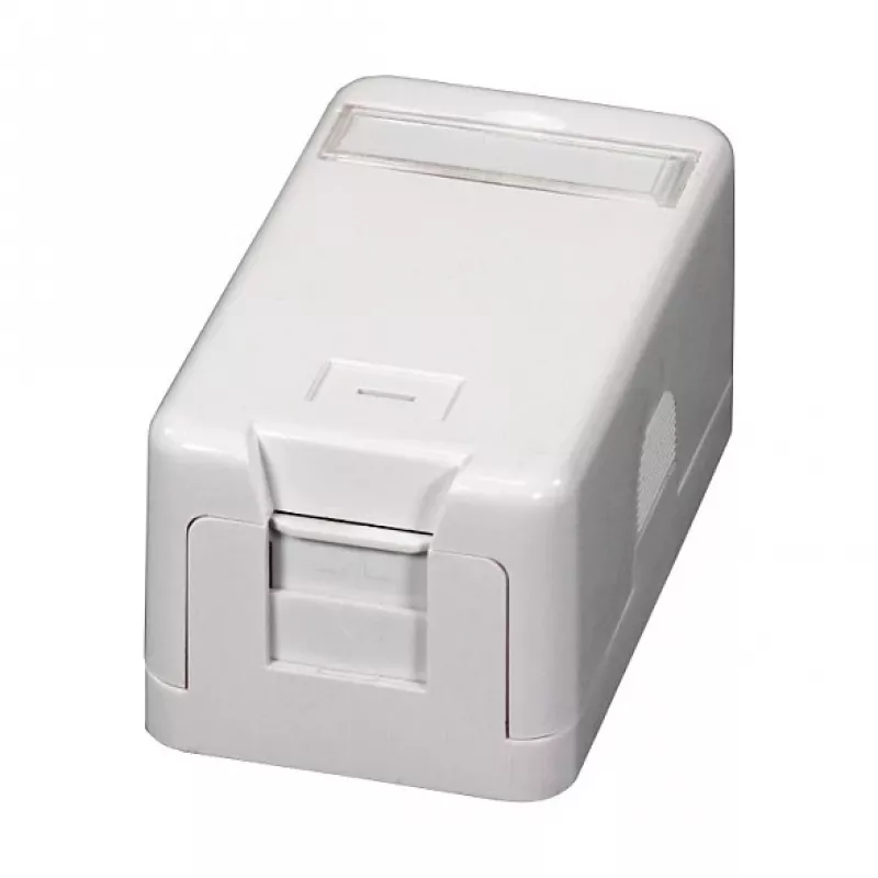 EFB ET-25166 Caja keystone de superficie, 1 puerto, tapa antipolvo de cierre automático, blanco puro