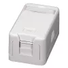 EFB ET-25166 Caja keystone de superficie, 1 puerto, tapa antipolvo de cierre automático, blanco puro