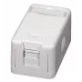 EFB ET-25166 Caja keystone de superficie, 1 puerto, tapa antipolvo de cierre automático, blanco puro