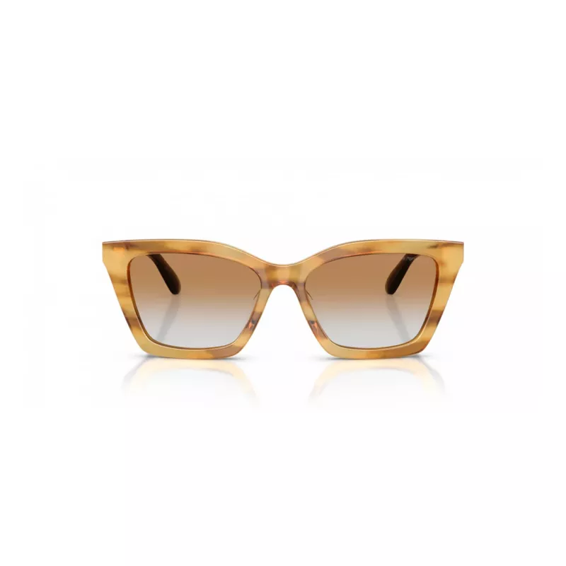 EMPORIO ARMANI Gafas de sol para mujer EA4250U62692Q Cat Eye gris transparente 54mm