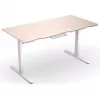 ENDORFY Atlas L Escritorio elevable eléctrico de pie-sentado, madera clara, 1400x600 mm