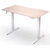 ENDORFY Atlas S Escritorio eléctrico de altura ajustable madera clara 120x60 cm