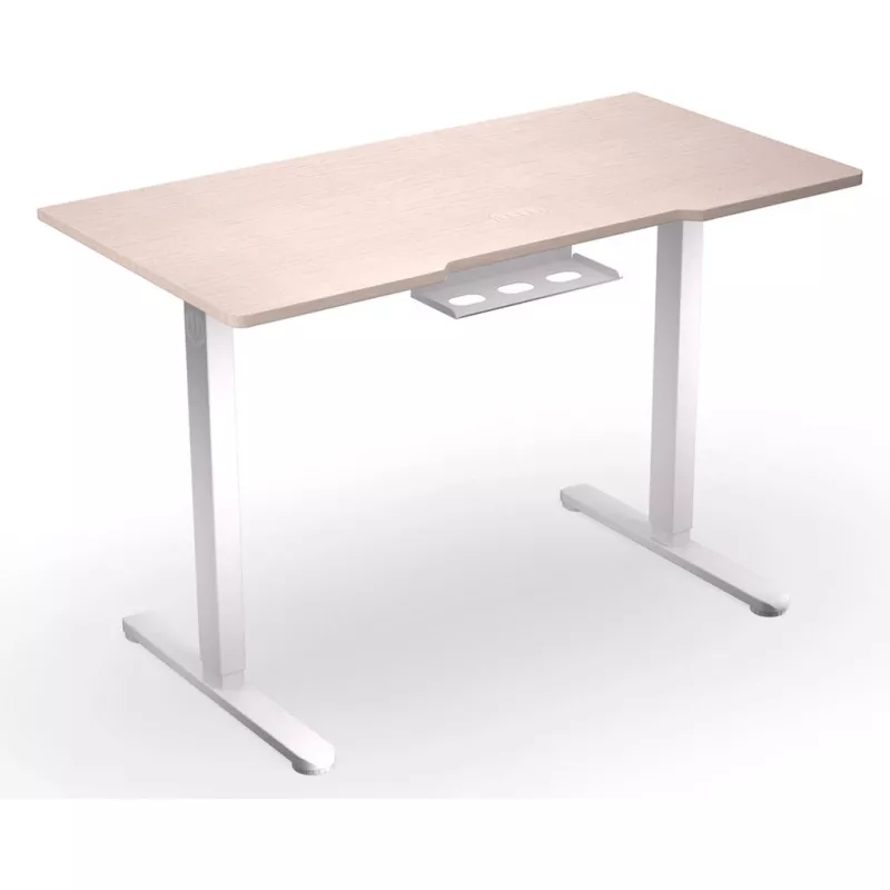 ENDORFY Atlas S Escritorio eléctrico de altura ajustable madera clara 120x60 cm