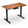 ENDORFY Atlas S escritorio de altura ajustable eléctrico nogal/negro 120x60 cm