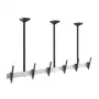 Equip Pro Soporte de techo triple para monitores de 45-50", 50 kg, Negro/Plata 650374