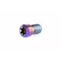 Ethic Abrazadera Titanium Screw Raw