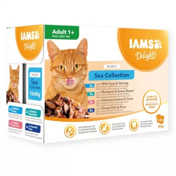 IAMS Delights Adult Sea in Jelly comida húmeda para gatos, 12 x 85 g
