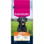 Eukanuba Premium Nutrition Junior Large & Giant Breed Pienso para perros, pollo 15kg