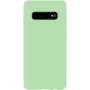 Evelatus Samsung Galaxy S10 Funda de silicona nano Soft Touch TPU menta