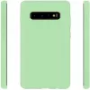 Evelatus Samsung Galaxy S10+ funda de nano silicona Soft Touch TPU Menta