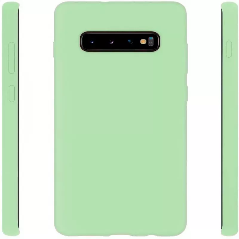 Evelatus Samsung Galaxy S10+ funda de nano silicona Soft Touch TPU Menta