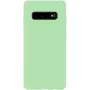 Evelatus Samsung Galaxy S10+ funda de nano silicona Soft Touch TPU Menta